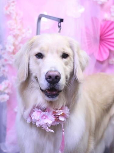 20250301ナナちゃん